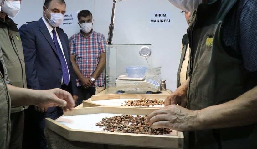 TMO fındık alımına törenle başladı