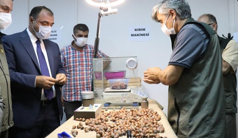 TMO fındık alımına törenle başladı