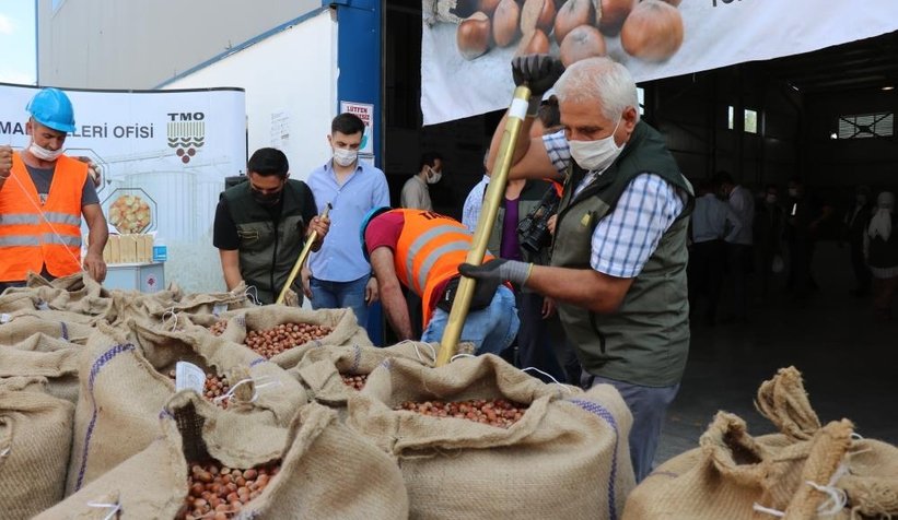 TMO fındık alımına törenle başladı