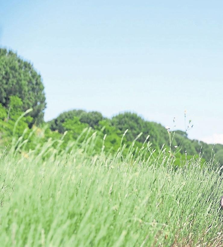 Tohumun can bulduğu her karış toprağı bereketli: Sakarya