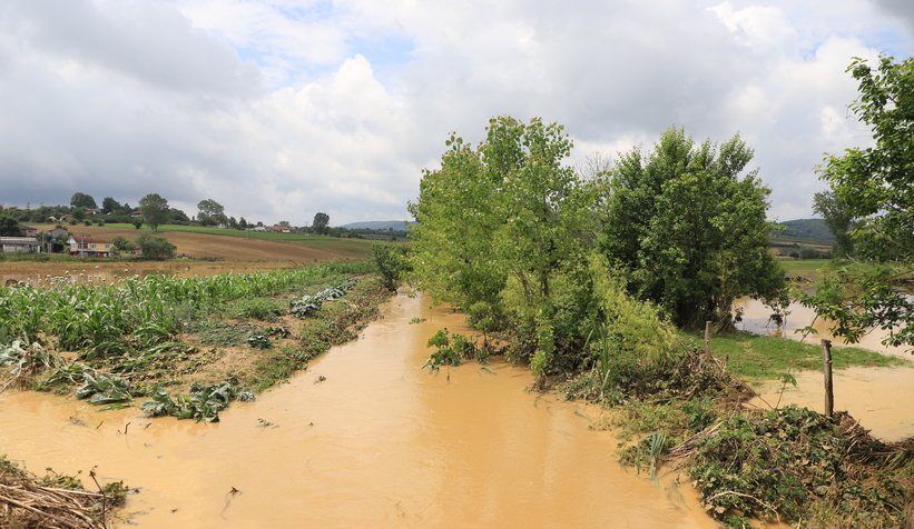 Tokmaklıdere'de araziler sular altında kaldı