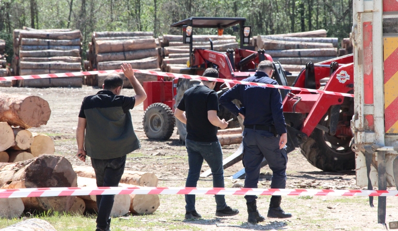 Düşen tomruğun altına kalan işçi hayatını kaybetti