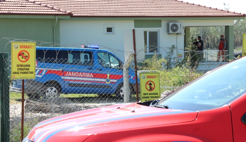 Düşen tomruğun altına kalan işçi hayatını kaybetti