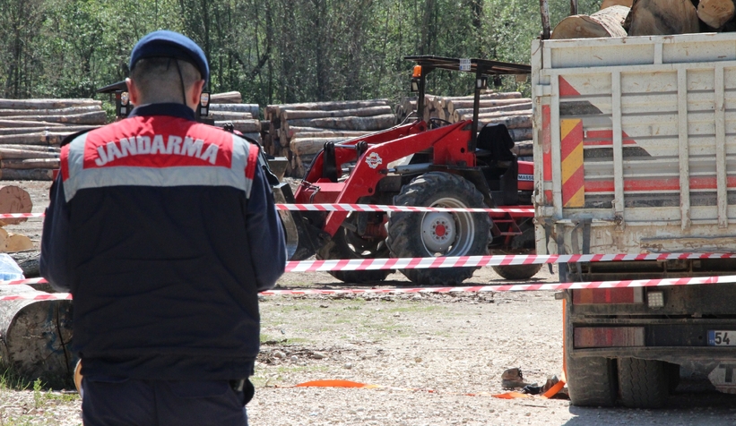 Düşen tomruğun altına kalan işçi hayatını kaybetti