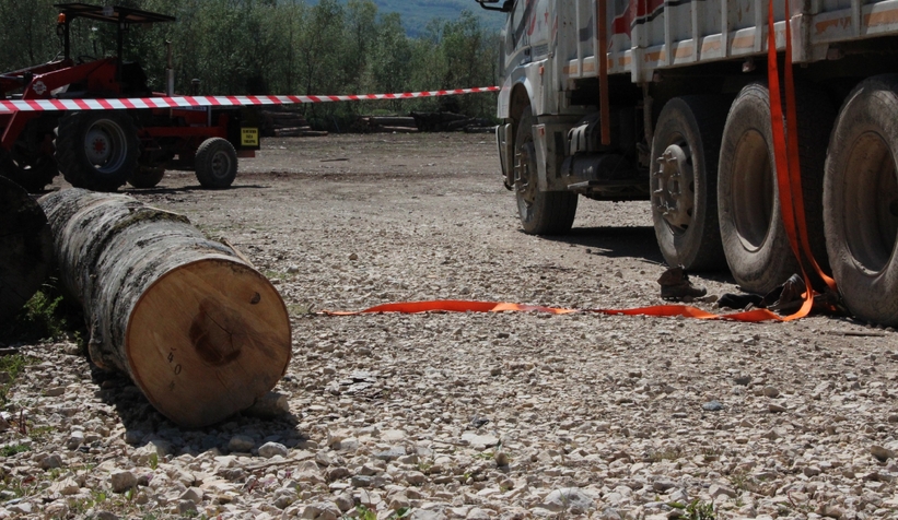 Düşen tomruğun altına kalan işçi hayatını kaybetti