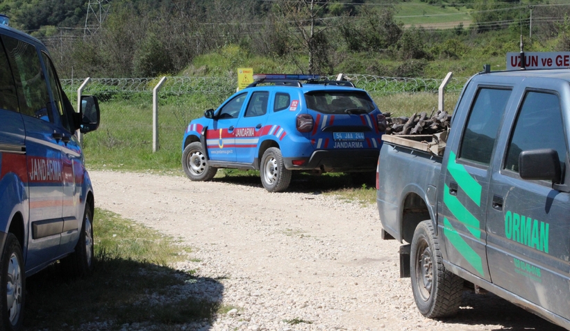 Düşen tomruğun altına kalan işçi hayatını kaybetti