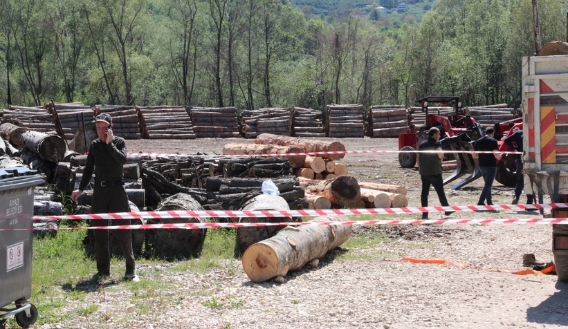 Düşen tomruğun altına kalan işçi hayatını kaybetti