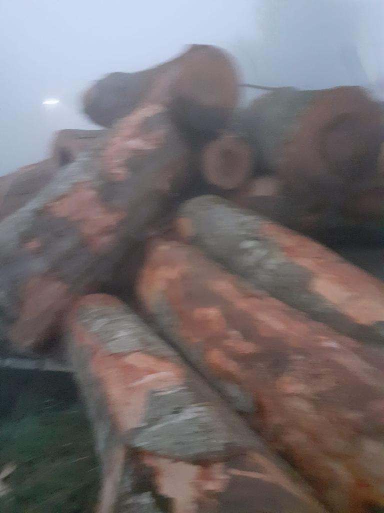 tomruk-yuklu-kamyonun-freni-patladi-faciadan-donulduu2nfk3kzaw