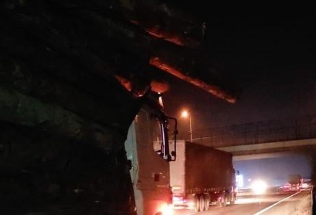 Tomruk yüklü tır otobüsü biçti