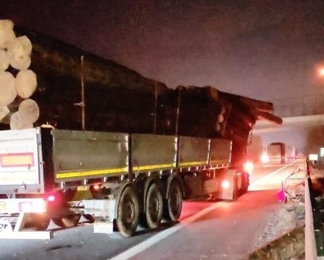 Tomruk yüklü tır otobüsü biçti