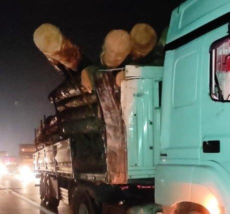 Tomruk yüklü tır otobüsü biçti