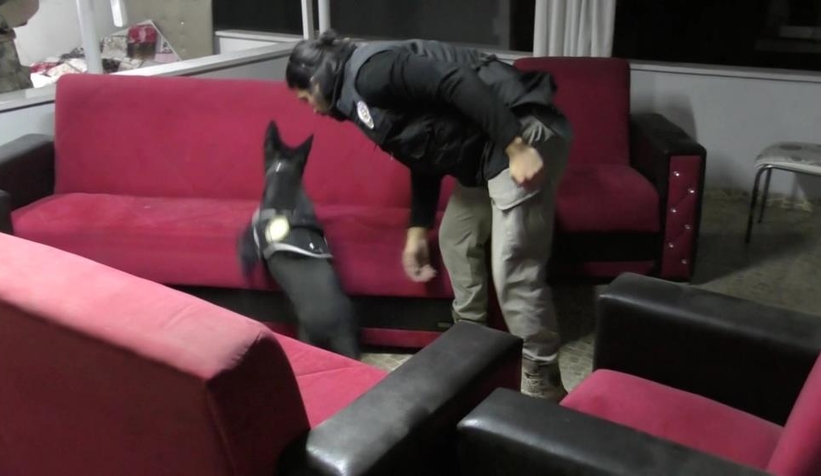 Torbacılara 5 ilde operasyon 98 gözaltı