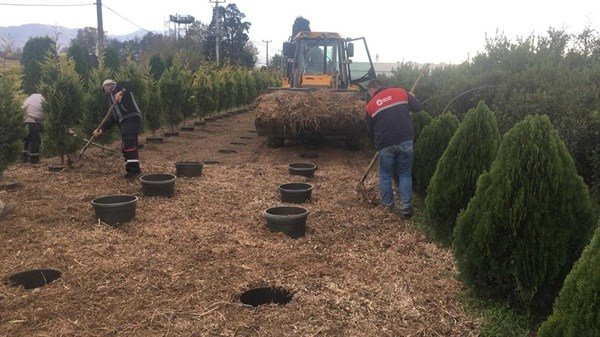 Türkiye'de ilk kez Hendek’te uygulandı