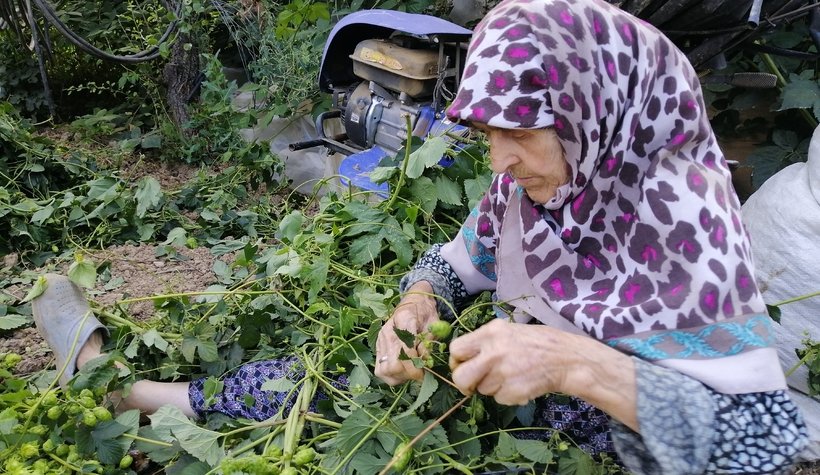 turkiye-de-sadece-komsuda-yetisiyoru0mvy0d5cm