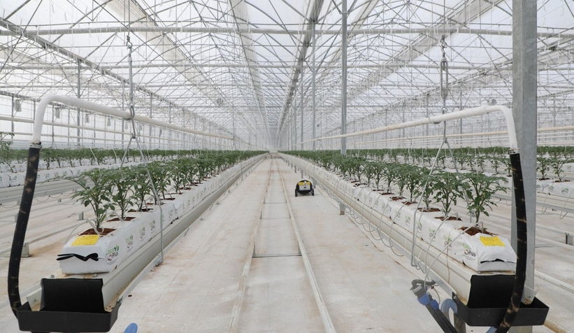 Türkiye'den topraksız ve dikey tarım girişimi