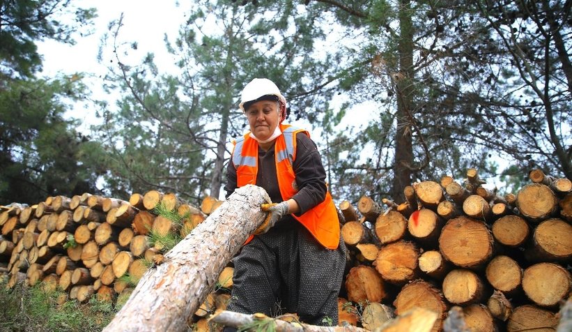 Türkiye'nin il sertifikalı kadın orman işçisi oldu