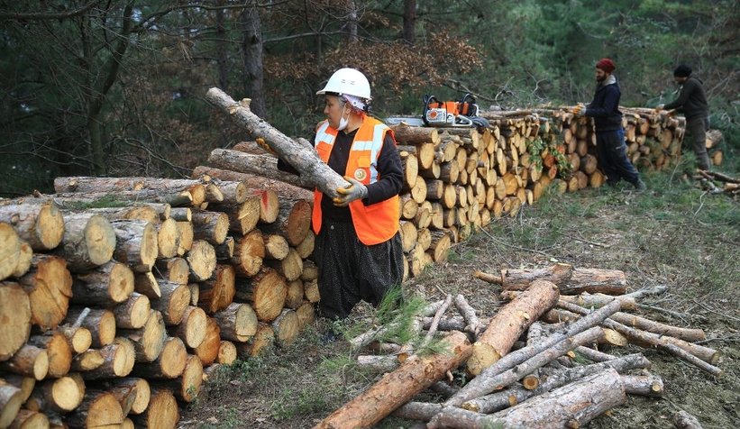 Türkiye'nin il sertifikalı kadın orman işçisi oldu