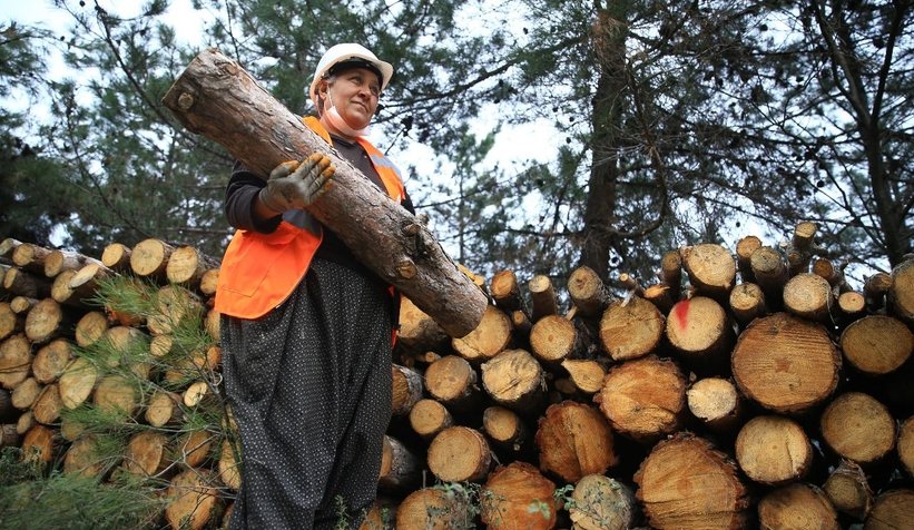 Türkiye'nin il sertifikalı kadın orman işçisi oldu