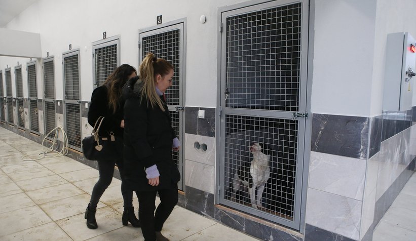 Türkiye’de emsali yok