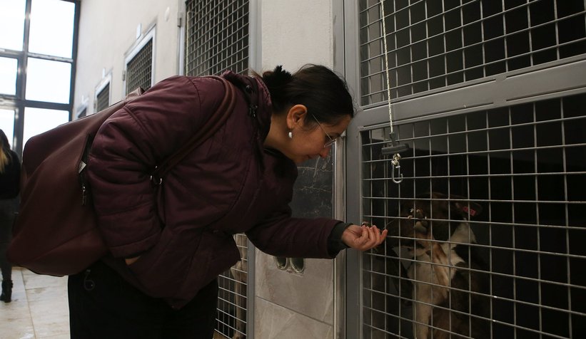Türkiye’de emsali yok