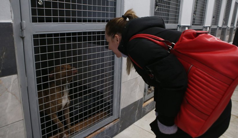 Türkiye’de emsali yok