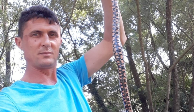 Tuttuğu balıklara yılan ortakçı çıktı!