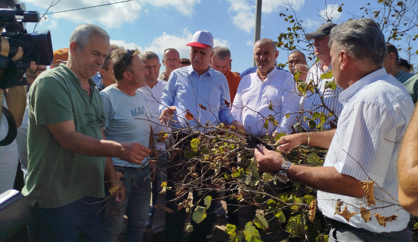 tzob-baskani-bayraktar-kuraklik-findikta-buyuk-kayba-yol-actit3m5vfq3vf