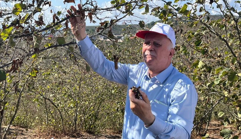 tzob-baskani-bayraktar-kuraklik-findikta-buyuk-kayba-yol-actit3m5vfq3vf