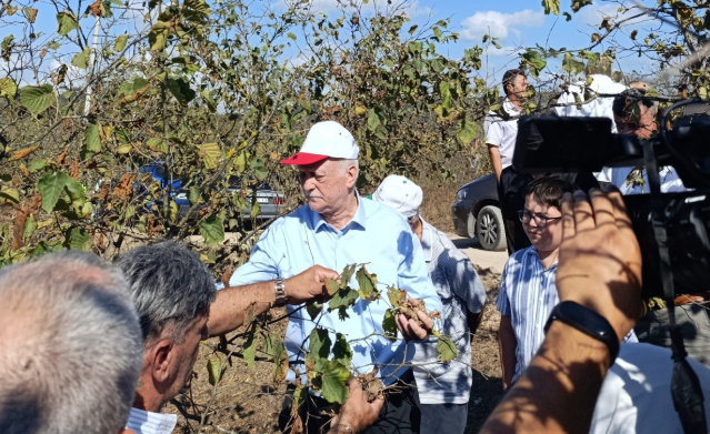 tzob-baskani-bayraktar-kuraklik-findikta-buyuk-kayba-yol-actit3m5vfq3vf