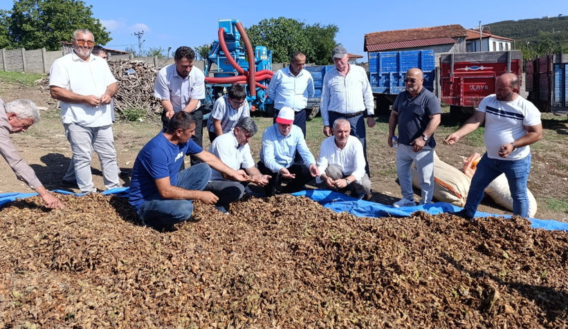 tzob-baskani-bayraktar-kuraklik-findikta-buyuk-kayba-yol-actit3m5vfq3vf