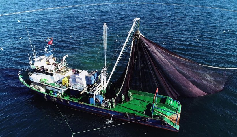 TZOB: Su ürünleri avcılık üretimi son 10 yılda yüzde 25 azaldı