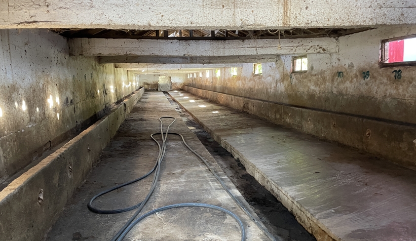 uc-ilcede-sap-alarmidmdtass0r3