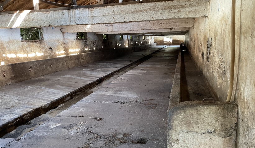 uc-ilcede-sap-alarmidmdtass0r3