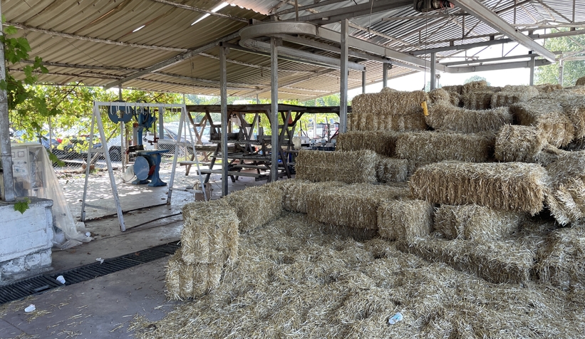 uc-ilcede-sap-alarmidmdtass0r3