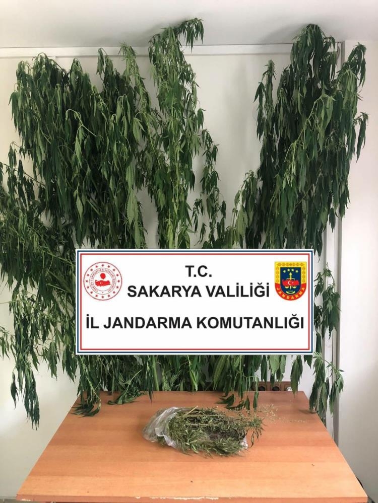 Üç ilçede uyuşturucu operasyonu