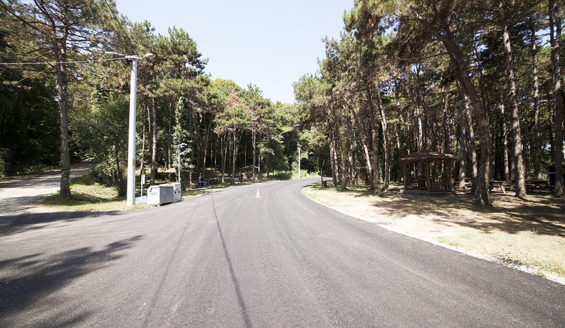 Ücretsiz internet artık İl Ormanı'nda