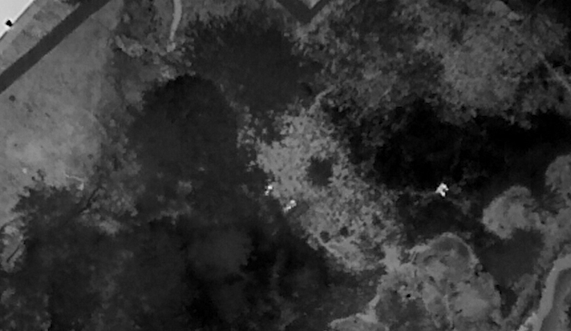 Uluslararası uyuşturucu çetesine operasyon