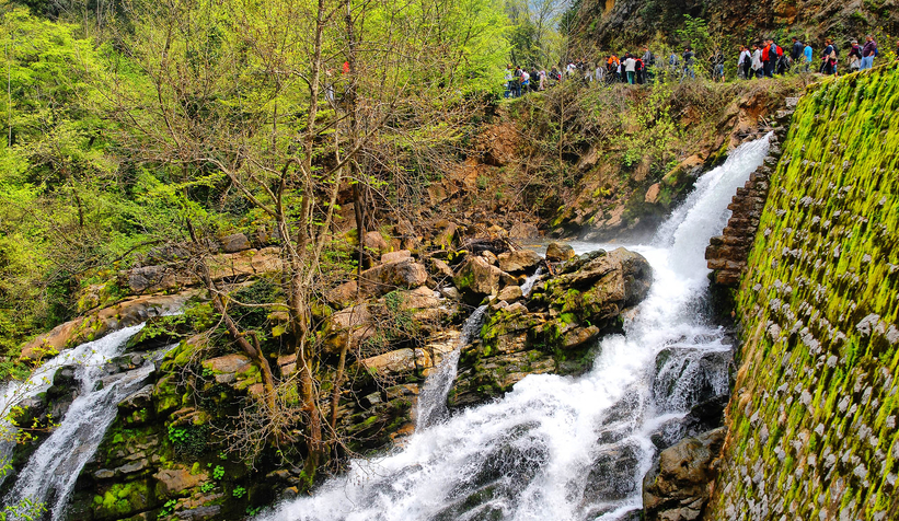 Üniversite gençliğinin ilk tercihi yeşil cennet Sakarya