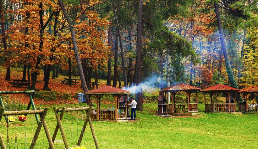 Üniversite gençliğinin ilk tercihi yeşil cennet Sakarya