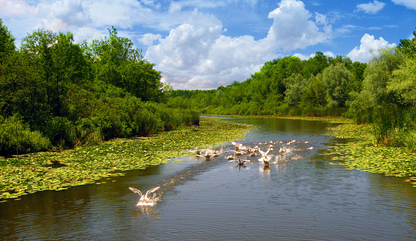 Üniversite gençliğinin ilk tercihi yeşil cennet Sakarya