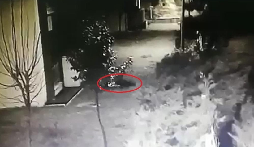 Üniversite öğrencisi 7. kattan düşmüştü: Tutuklu sevgiliye tahliye