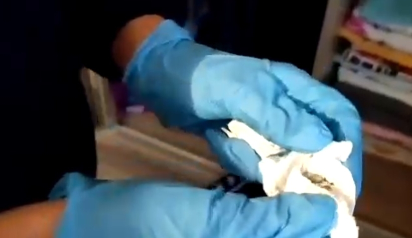 Uyuşturucu operasyonlarında 100 gözaltı