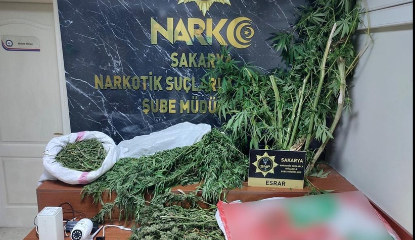 Uyuşturucu operasyonlarında 100 gözaltı