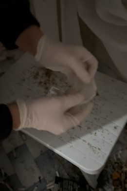 uyusturucu-operasyonu-4-gozaltiymlocgriyl