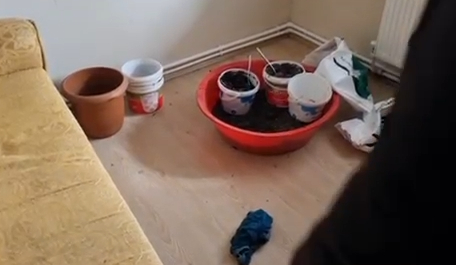 Uyuşturucu serasına çevrilen eve operasyon