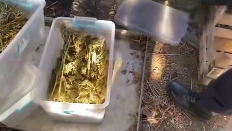 Uyuşturucu, tabanca, para ve altın ele geçirildi