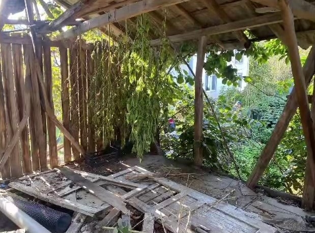 Uyuşturucu, tabanca, para ve altın ele geçirildi