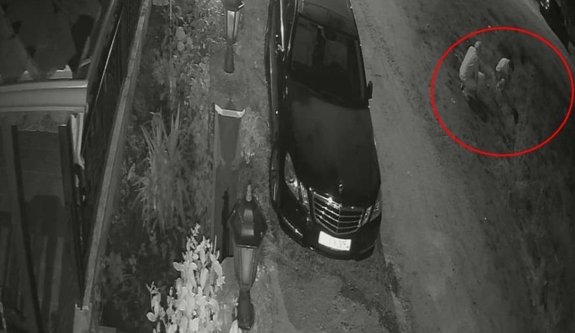 Uyuyan köpeği ezdi, arkasına bile bakmadan böyle gitti