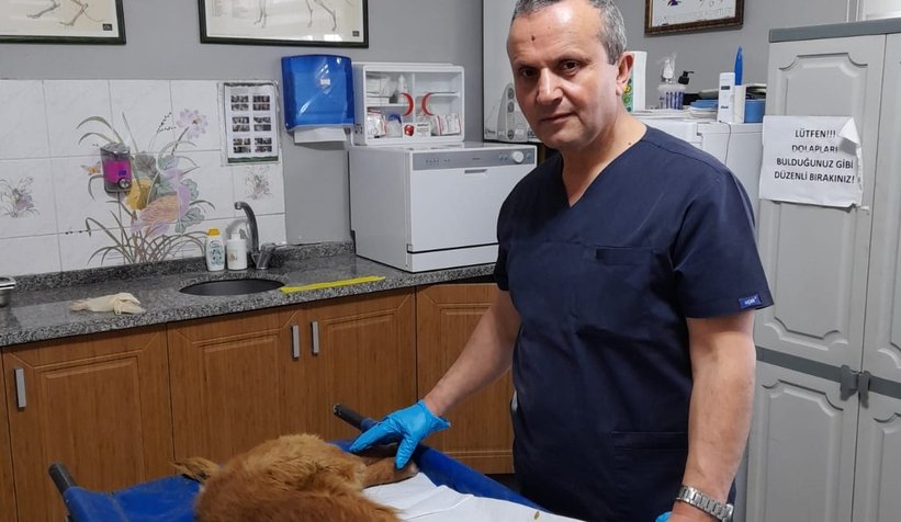 Uyuz var diye veterinere götürüldü, kanser çıktı