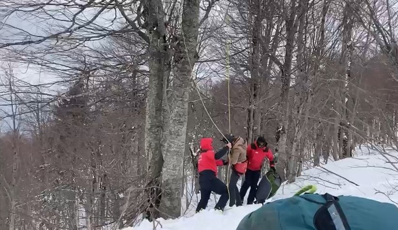 Üzerine düştüğü ağaç hayatını kurtardı 